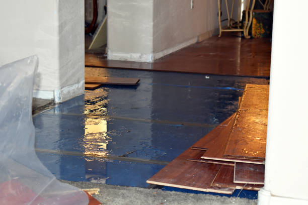 Professional Basement Flood Cleanup technician working in Eureka, CA